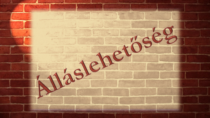 allaslehetoseg