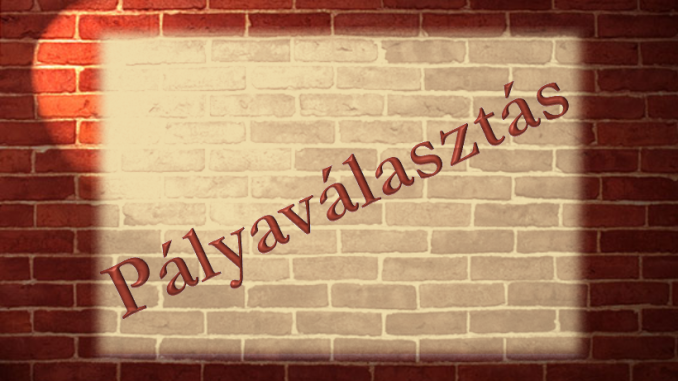 palyavalasztas2