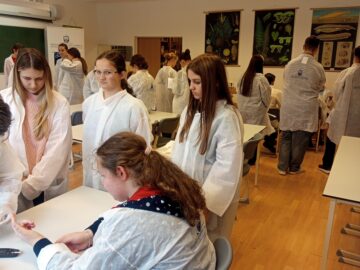 Porpáczy Anna 9.A osztályos tanulónk az idei tanévben csatlakozott a Nemzeti Tudósképző Akadémia csapatához