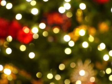 Teremdíszítő verseny